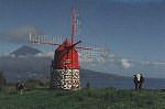 Flemish Windmill